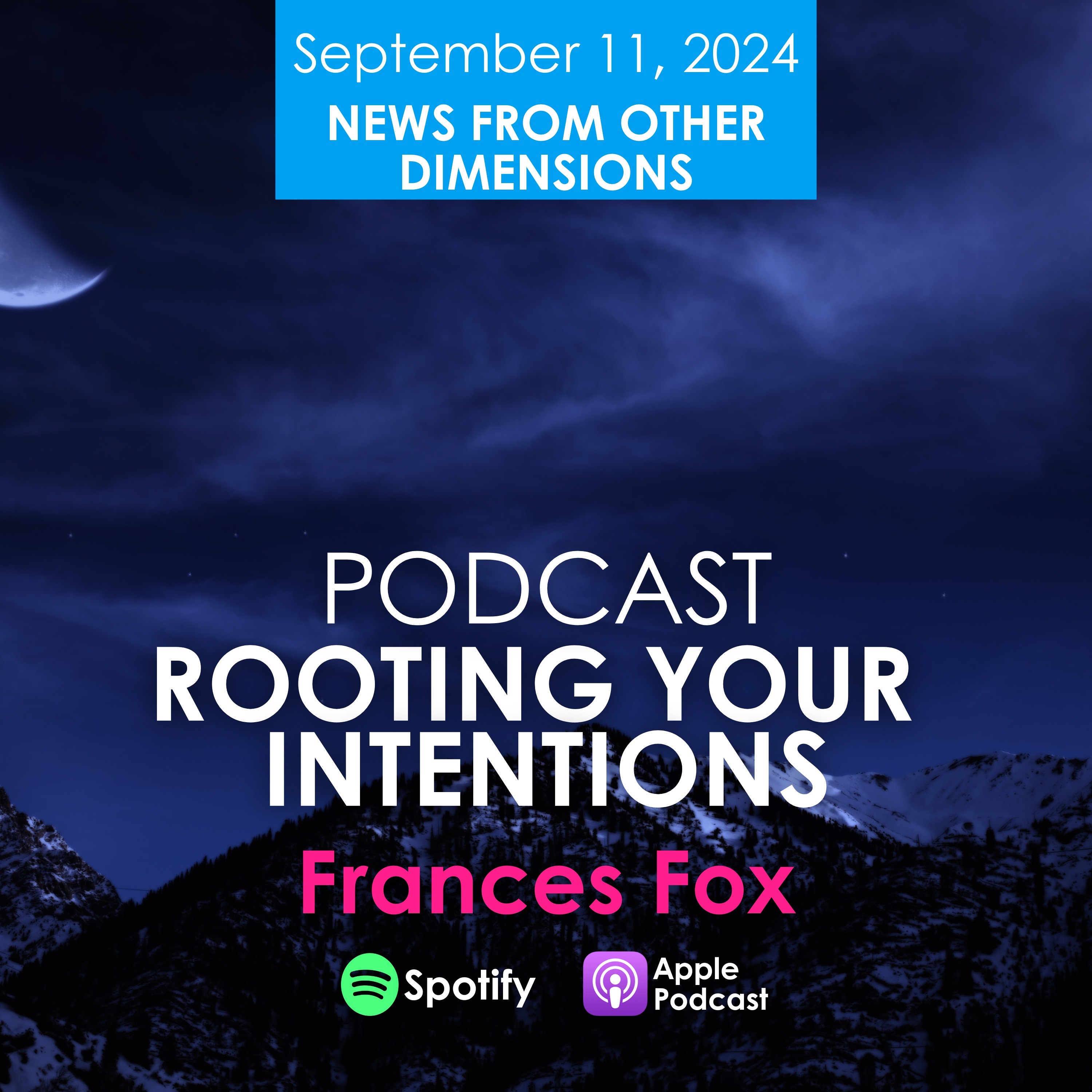 Frances Fox: News From Other Dimensions