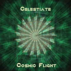 Cosmic Flight