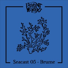 Seacast 05 - Brume (Discrete Society)