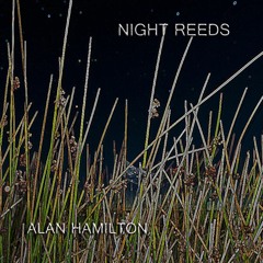 Night Reeds