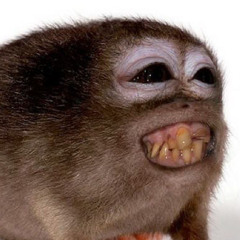 Godzilla Theme (Godzilla 2000 Millennium).mp3