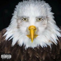 den0xe - Self Centered Cee ft. dipakancil777 & irgigantep