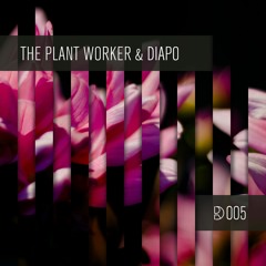 Dynamic Reflection Podcast Series 005: The Plant Worker & DIAPO