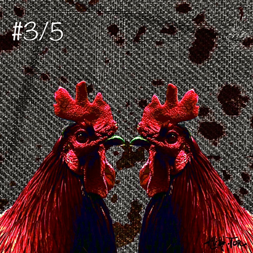 #3/5