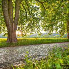 NO BRAINER  - DJ Khaled & Justin Bieber, Quavo, Chance- piano