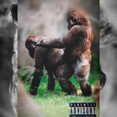 GAY BOOTY GORILLA SEX (p. ac!d)