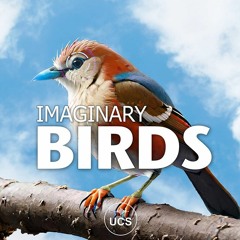 DEMO Imaginary Birds Sound Library