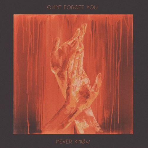 NEVR KNØW - CAN'T FORGET YOU