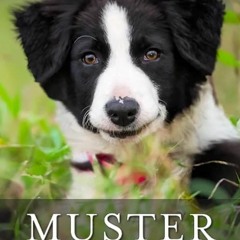 Muster Dogs (S2xE4) Season 2 Episode 4 Full/Episode -233074