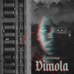 1800Cxllect Series | 029 | Dimola (Evaporate 蒸發)