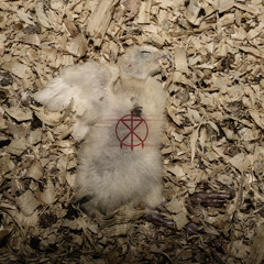 V For Visceral