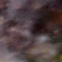 Premiere: MirrorLake - Ninj4