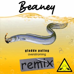 gladde paling - overstroming (Beaney Remix)
