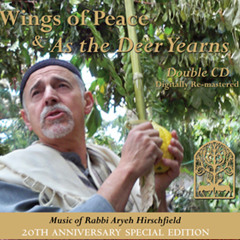 Rabbi Aryeh Hirschfield - Healing Song