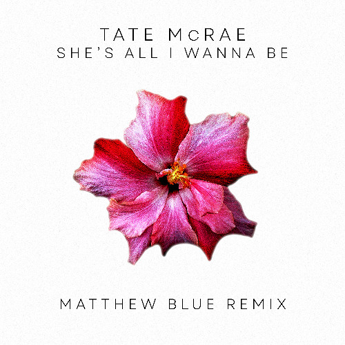 Tate McRae - she's all i wanna be (Matthew Blue Remix)