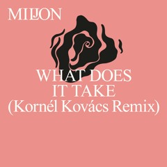What Does It Take (Kornél Kovács Remix)