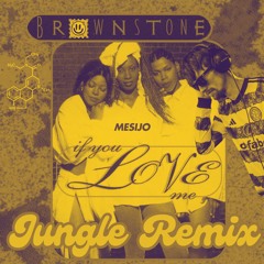 Brownstone - If You Love Me - Jungle Remix