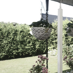 Left me for the sunrise