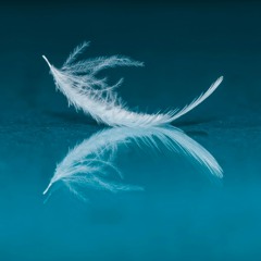 In The Wind