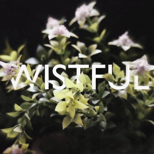 Sorann - Someone new Ft. Bubba itb (Official audio)