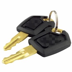 2 keys ~(=^‥^)ノ☆
