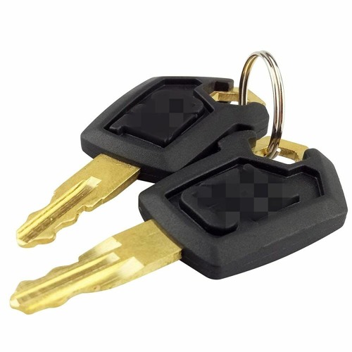 2 keys ~(=^‥^)ノ☆