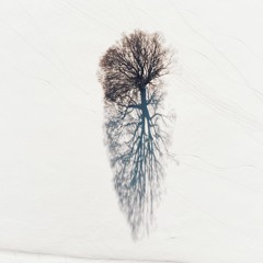 Echo Song