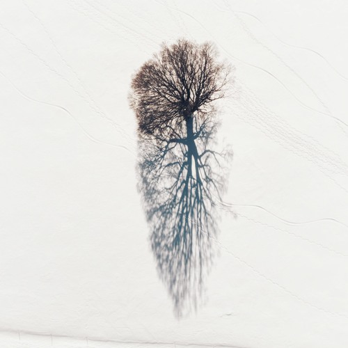 Echo Song