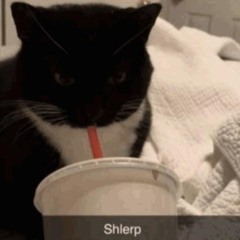 purityｓ ｈ ｌ ｅ ｒ ｐ