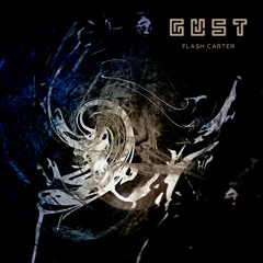 Flash Carter - Gust [LP] [Mixed]