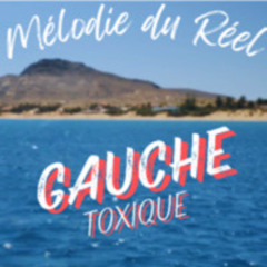 Gauche Toxique