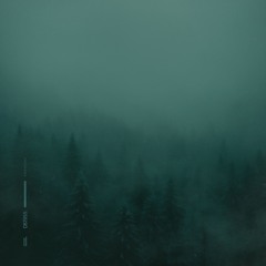 Insomnia