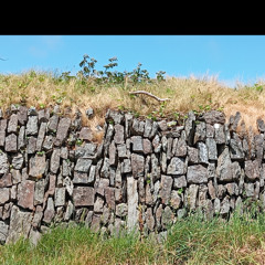 Ancient Irish Spirit Dance
