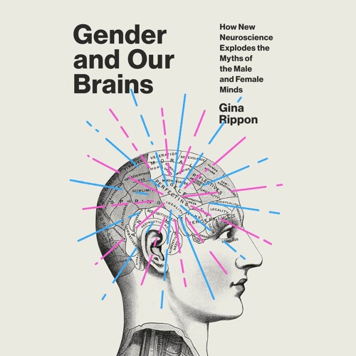 Epub read Gender and Our Brains: How New Neuroscience Explodes the Myths of the