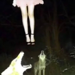 sayings p. 6astardcanrise