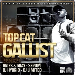 Top Cat - Gallist (Aries & Gray Remix)