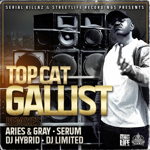 Top Cat - Gallist (DJ Hybrid Remix)