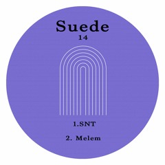 Unknown Artist - Melem [Suede14]