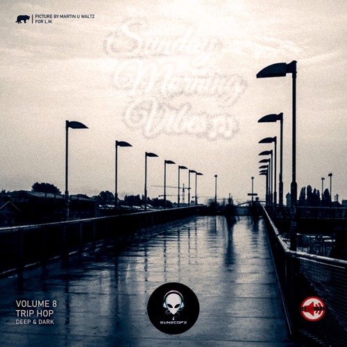 Sunday Morning Vibes Vol.8 (Triphop) DeeRedRadio Berlin