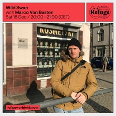 Wild Swan - Marco Van Basten - 16 Dec 2023