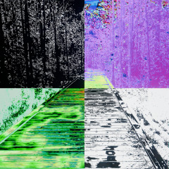 Morning Stroll 462025