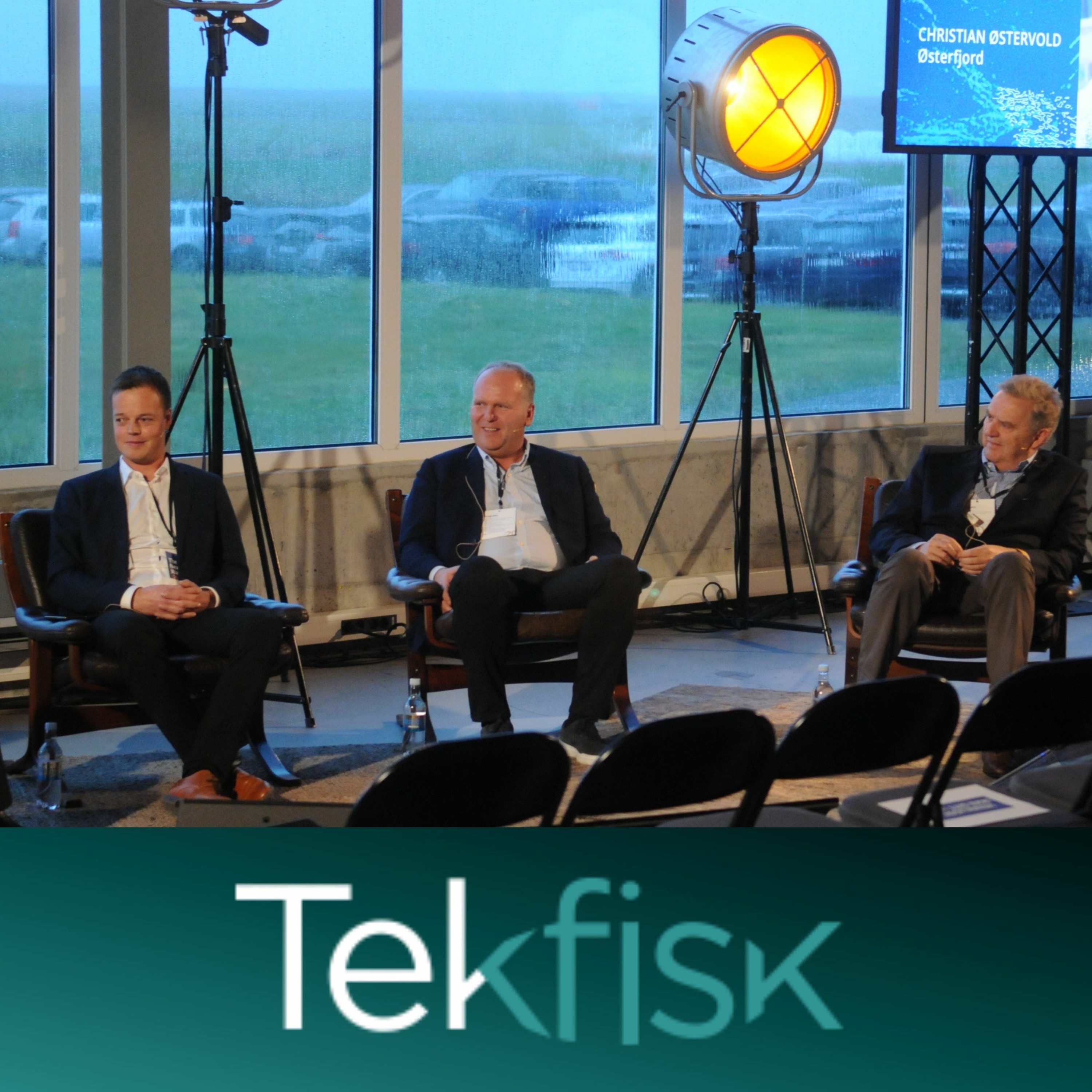 Tekfisk