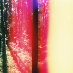 Synced Psycho - All That Sound