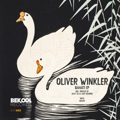 Oliver Winkler - Noya (Alley SA Remix)