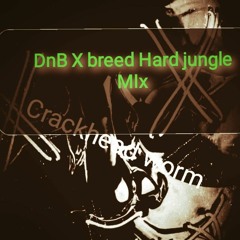 Crackhead Worm Crossbreed DnB mix.mp3
