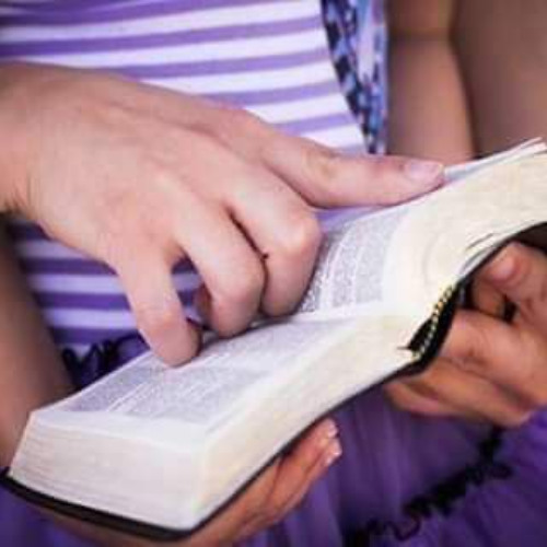 الكلمة منك مش أوهام - خدمة السماء على الأرض - مصر