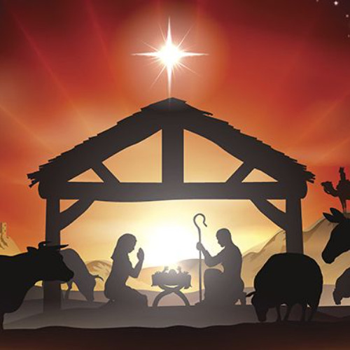 Beginning to look like Xmas