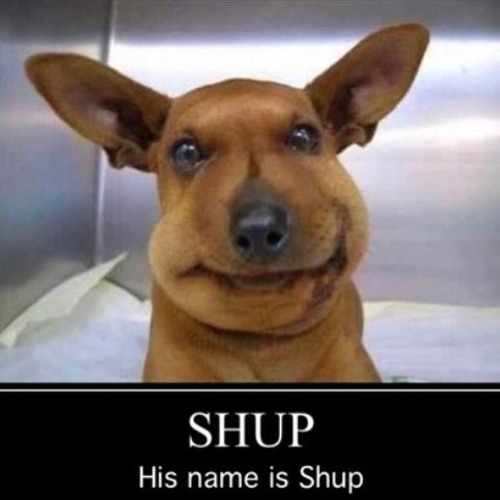 h3artcrush - scene party