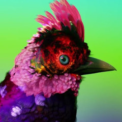 Flume - Get U (MCKN 2022 lost flip)