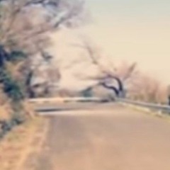 ねこぼーろ初音ミクエイプリループ Apriloop by nekobolo (original)